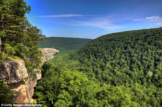 Arkansas is also famous for its landscape of mountains, lakes, rivers, hot springs and forests (photo: The Hawksbill Crag in Arkansas)