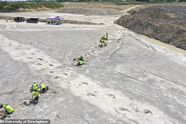 At Dewars Farm Quarry in Oxfordshire, archaeologists have found more than 200 dinosaur footprints on five different tracks