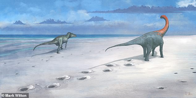 Four of the trackways belong to a long-necked sauropod, most likely the 18-meter-long Cetiosaurus (right). The last remaining set was of a Megalosaurus (left), a ferocious predator that could grow up to nine meters in length