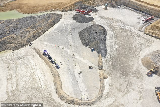 The trackways extend 150 meters along the bottom of the quarry and were discovered when a worker noticed 'unusual bumps' in the limestone