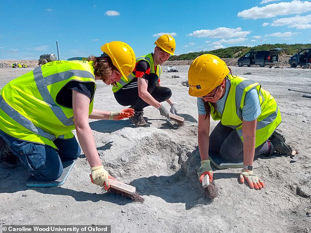 By looking at the size and distribution of the footprints, scientists can figure out how the dinosaurs moved and how fast they were going at the time