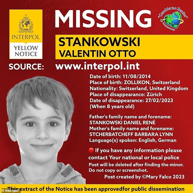 The boy was declared missing – with Interpol even issuing a 'yellow notice' in 2023 – after his mother picked him up from his father's house but failed to return him