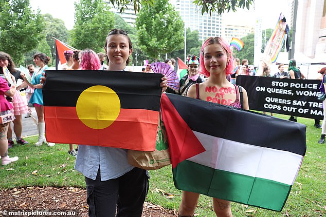 For example, workplace 'diversity, equality and inclusion policies' have proven to be divisive, both here and in America, where they originated (pictured are Aboriginal and Palestinian flags at Sydney's Gay and Lesbian Mardi Gras )