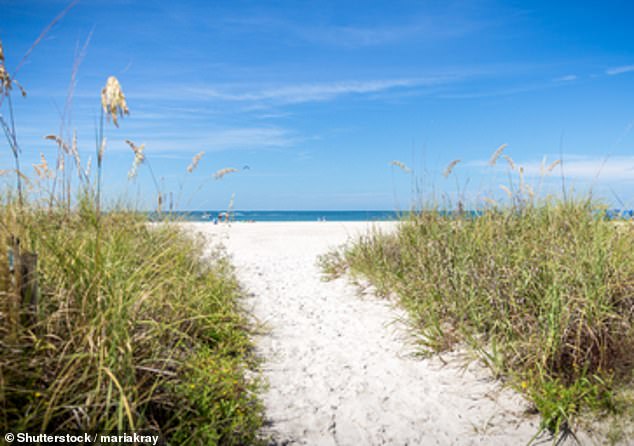 Investigators say witnesses watched as Neves drove along a sidewalk onto the sand of the beach