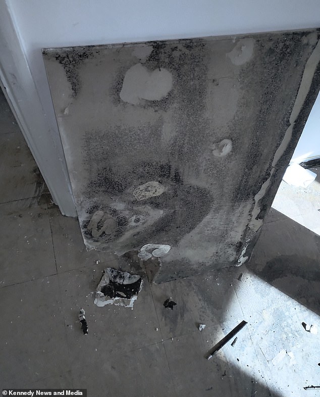 Mr Langsworth claimed extensive mold in his property had been 'redecorated' rather than being properly treated.