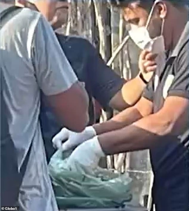 An investigator searches through a garbage bag as part of the investigation into the fish served at a New Year's Eve family dinner that killed two children and hospitalized seven people