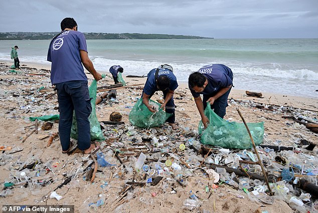 Overtourism has turned Bali into a 'plastic apocalypse', says Fodor's