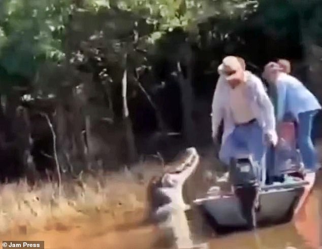 Footage shows a holidaymaker peering over the side of the boat when a black caiman suddenly emerged from the murky water