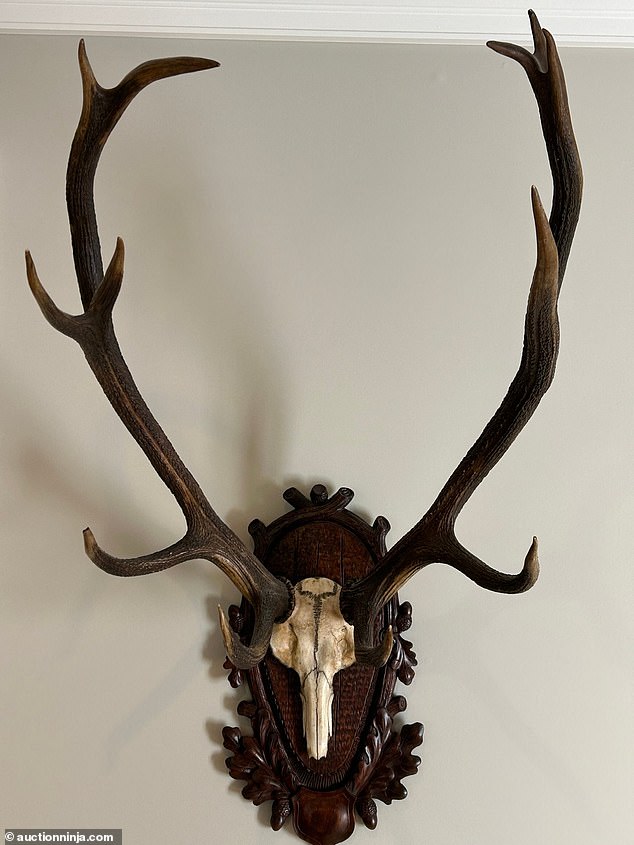 The couple collected dozens of bizarre ornaments and sculptures in need of a new home, including several taxidermy animal skulls such as a deer with antlers for $39.