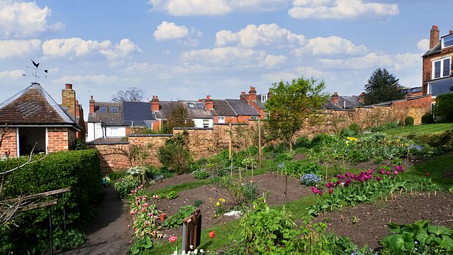 Britain's developing gardens could see an increase in fig and almond trees due to a lack of damaging frost, experts say (file image)