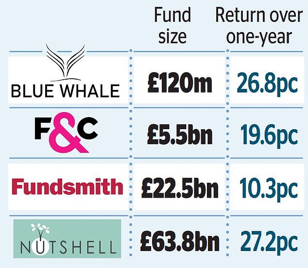 1735944755 484 Global funds like these should be the foundation of any