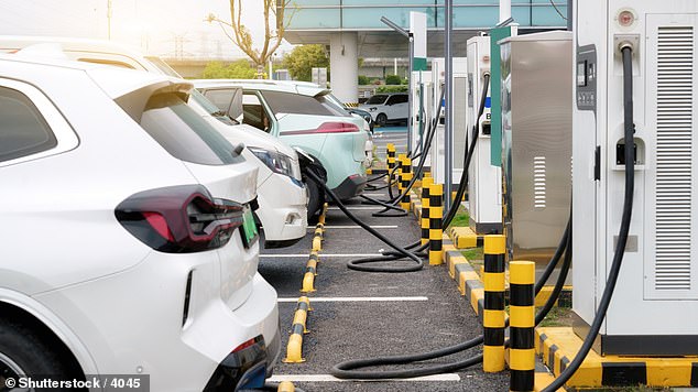 High prices and a lack of charging infrastructure were thought to be factors driving potential electric vehicle buyers (file photo)