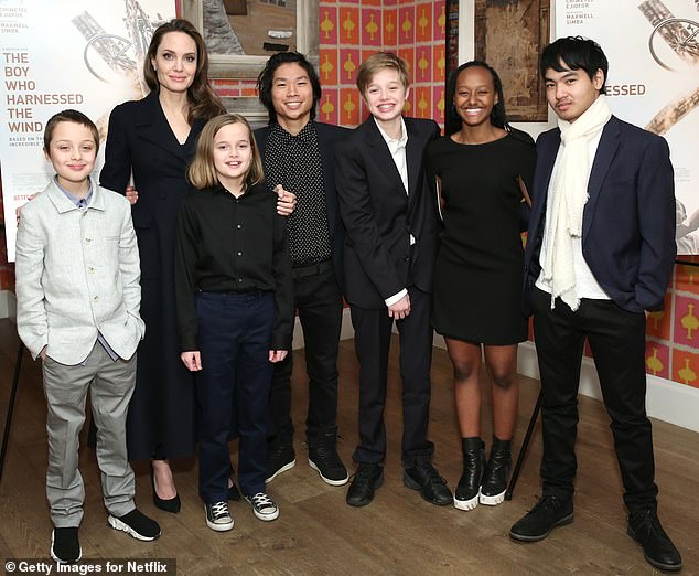 “They wanted her to stand up and defend herself in recent years, but she reminds them that they need to focus on changing laws instead of telling public stories,” the source continued; Jolie seen with Knox, Vivienne, Pax, Shiloh, Zahara and Maddox in 2019