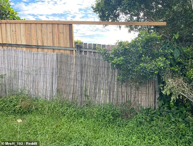 Aussies were quick to criticize the homeowner, with one commenter suggesting she would 'count her lucky stars' that the new fence had been built