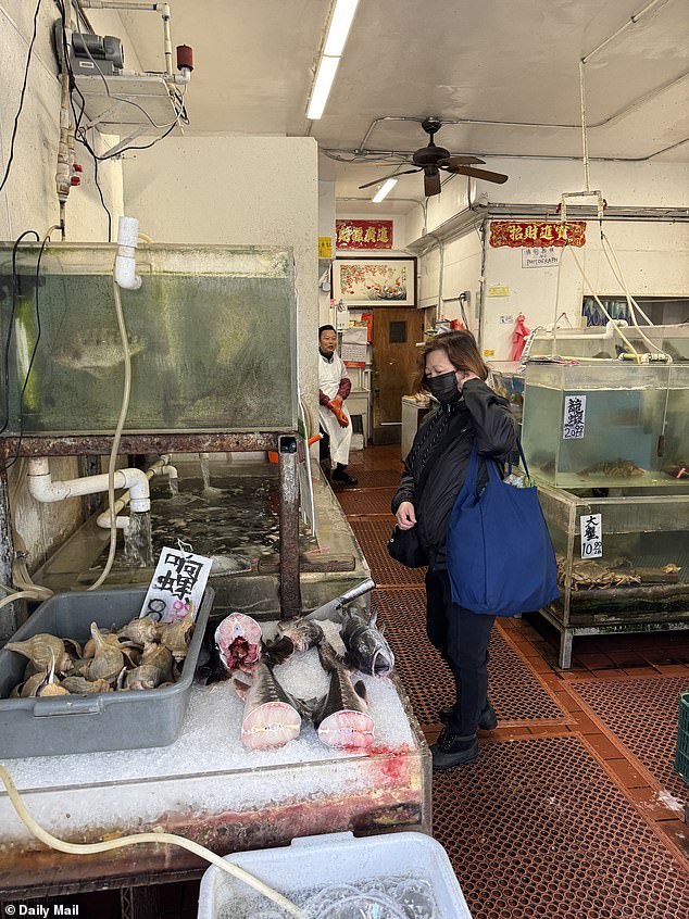 The photos taken by our reporter were at one of several wet markets in San Francisco. The markets had everything that lives in the water, such as turtles, fish, crabs, shellfish and frogs