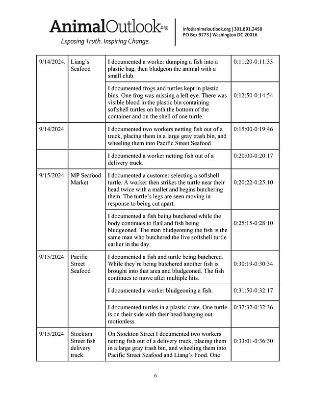 A detailed outline of the anonymous researcher's findings, including unsanitary conditions such as leaving fish on the ground both in the market and on the streets, as well as the inhumane way they slaughter frogs, turtles and fish