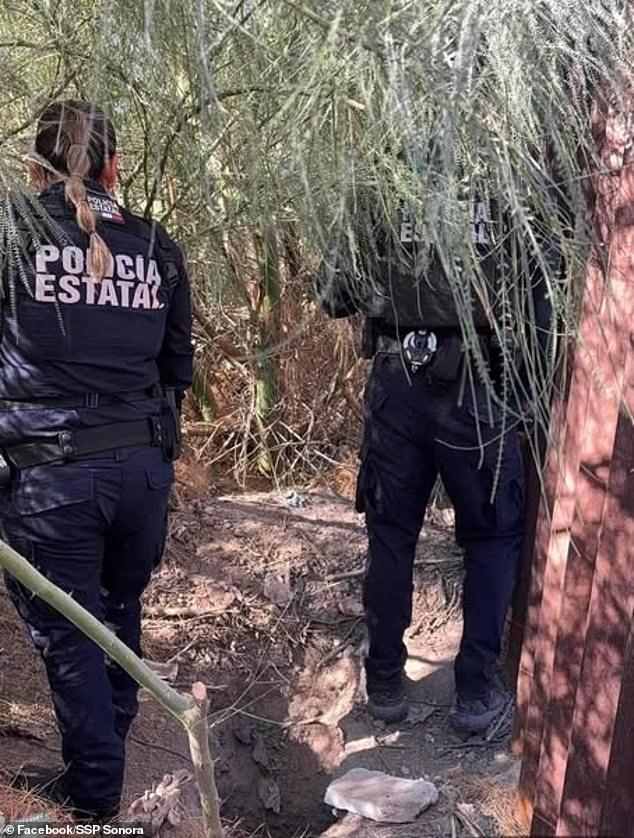 The tunnel – which is incomplete – was found in San Luis Rio Colorado, near the border wall. Police believe it was built to be used as a 'narco tunnel' to bring drugs and possibly people into the US