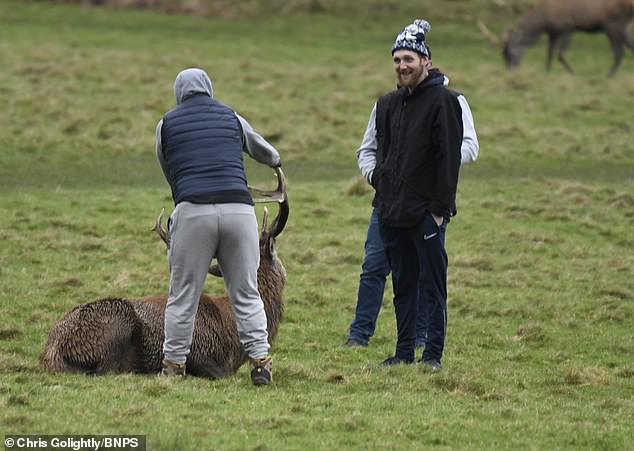 The boys in tracksuits could be seen grabbing the animal's antlers