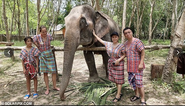 The incident happened on Friday at the Koh Yao Shrine on Thailand's Yao Yai Island. The photo shows tourists posing with an elephant at the elephant sanctuary where Garcia died