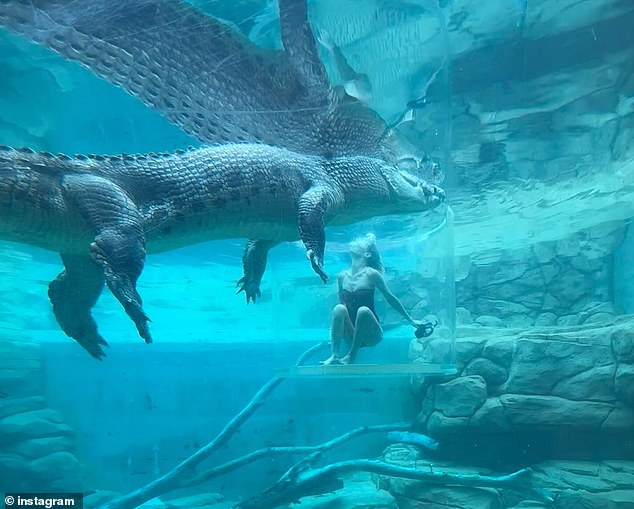 It comes after the model sparked the ire of some fans this week after sharing photos of a seemingly innocent act while swimming with a crocodile