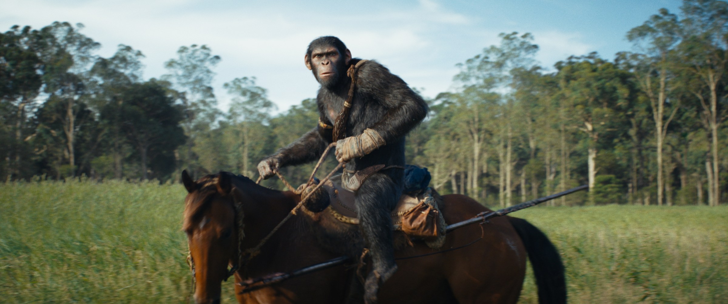 Noa, a chimpanzee, rides a horse in front of a forest in the movie Kingdom of the Planet of the Apes