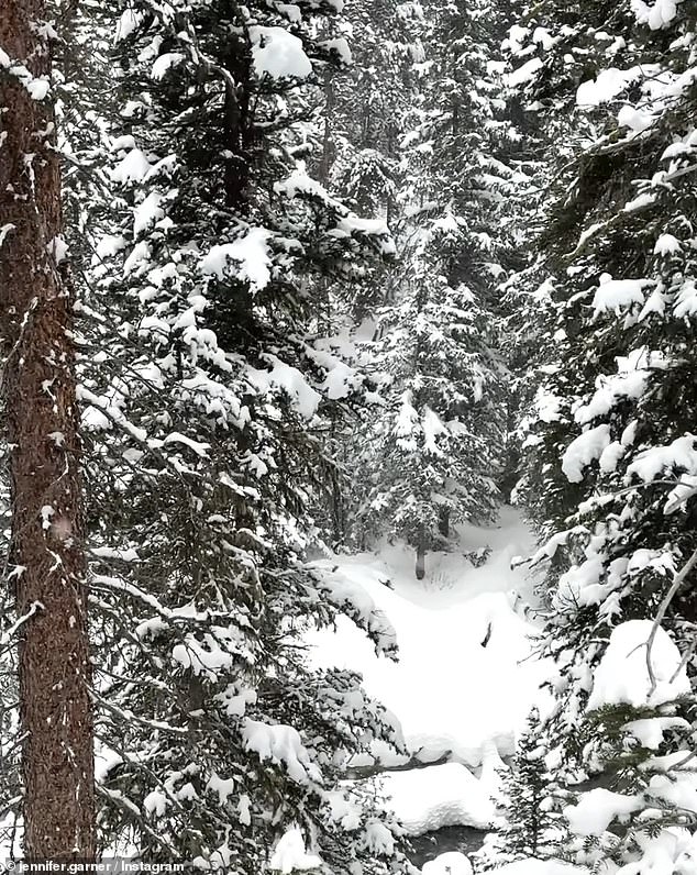 'I love Snow. My best friend Snow. More snow. A poem I love by @maryoliver filmed in Snow. Trees and snow. After a week of looking at snow,” she wrote