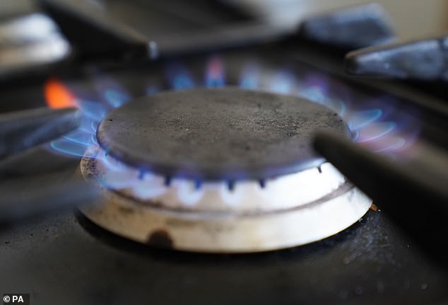 Earlier in 2023, the government faced strong backlash for proposing limits on gas stoves – a move that sparked widespread public outrage and accusations of government overreach.