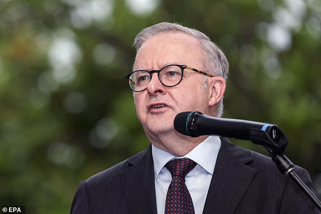 Anthony Albanese (pictured) is expected to announce $7.2 billion in funding to modernize the Bruce Highway