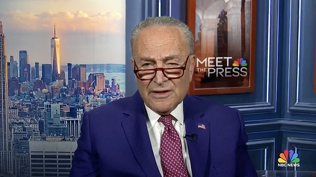 Senate Minority Leader Chuck Schumer said Democrats had a bad 2024 because they didn't show enough 