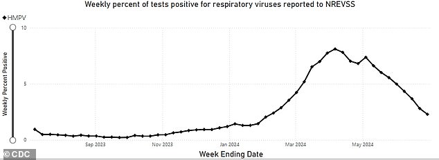 The CDC chart above shows HMPV positive test rates from August 2023 to June 2024. Positive test rates appear lower this time last year