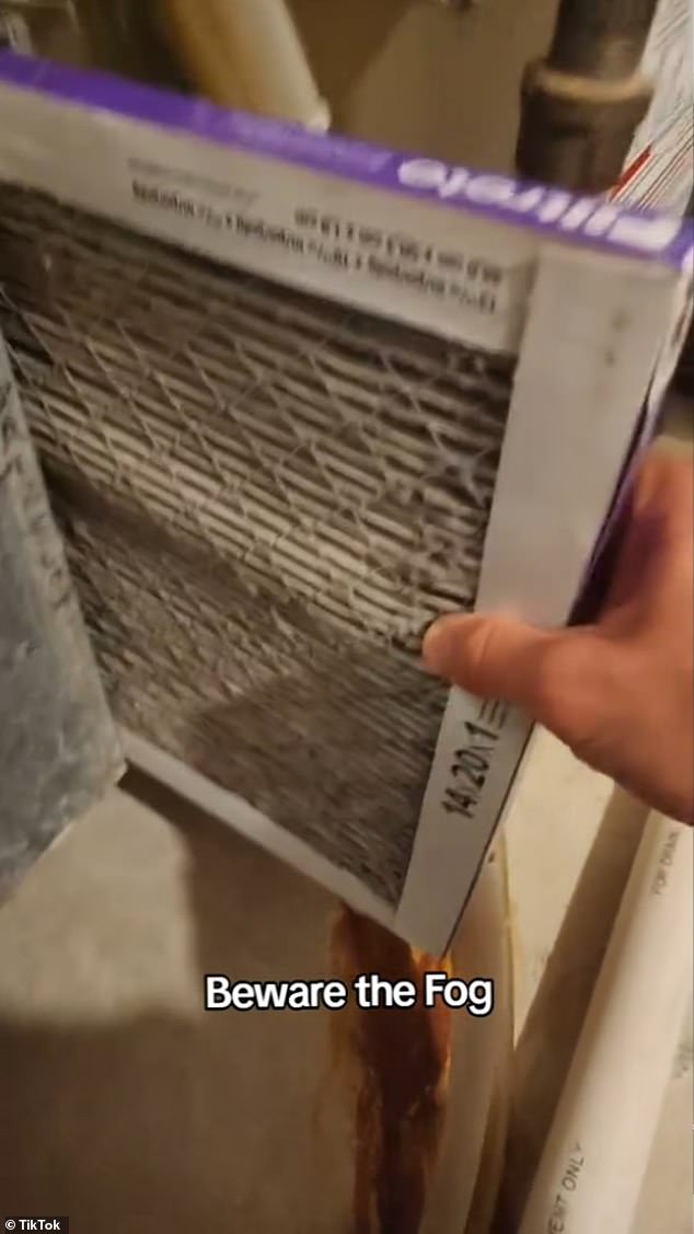 Another TikTok user from North Dakota posted a video showing his home's air filter, which he said was recently replaced, filled with residue