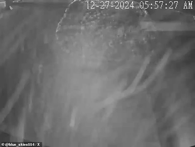 Multiple studies have shown that fog can cause breathing problems such as coughing, shortness of breath, chest pain, congestion and wheezing. The photo shows a photo from a camera in Texas showing the particles in the fog