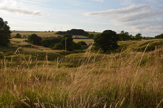 Combining their findings with current research linking lead exposure to cognitive decline, the scientists estimate that lead pollution during this period would have resulted in an average increase in blood levels in children of about 2.5 micrograms per deciliter. Pictured: Grass-covered hills mark the site of the Roman-era lead mine at Charterhouse on Mendip