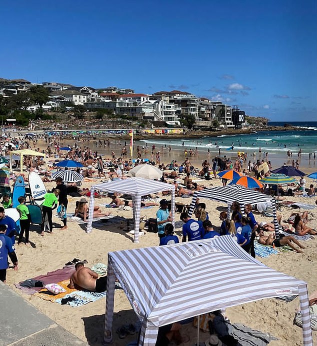 Cool Cabanas have taken over Australian beaches in recent years - and now they've been condemned by the Prime Minister