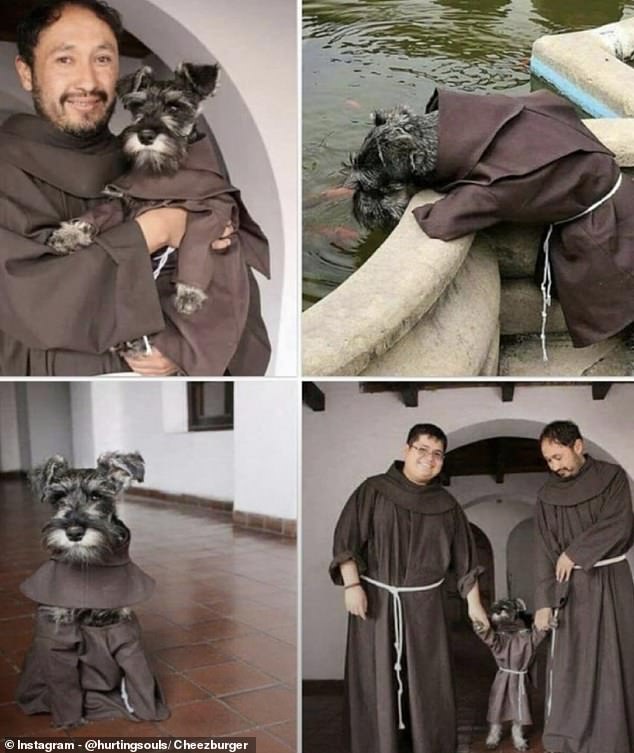 This furry friend found a home after being adopted by some monks. He now goes by the name 'brother whiskers'