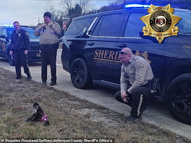 The sheriff's office thanked police for their ability to 