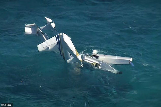 Four survivors were rescued from the ocean after the seaplane crash. The photo shows the wreck