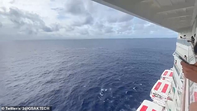 The frantic search efforts were captured in videos posted to social media by concerned passengers when their ship suddenly halted its journey to Great Stirrup Cay, Bahamas.