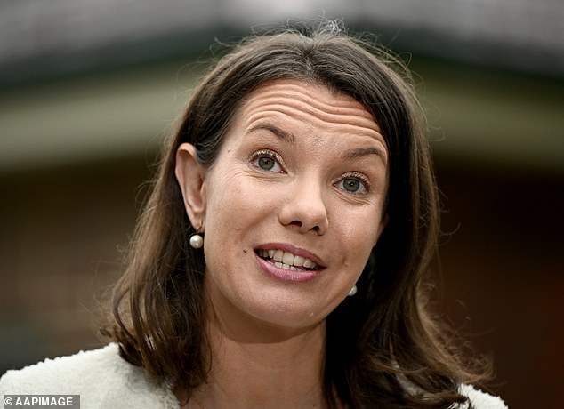 NSW Housing Minister Rose Jackson (pictured) said the 29-unit block met planning regulations and was desperate as more than 60,000 people wait for housing