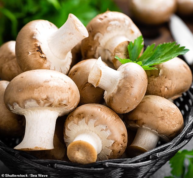 Edible varieties commonly found in recipes resemble death caps. For this reason, police and scientists discourage people from foraging for mushrooms themselves