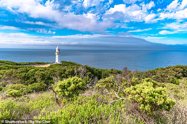 About 100 campers at the Carpet Bay campsite, Cape Otway, have been isolated due to the fire