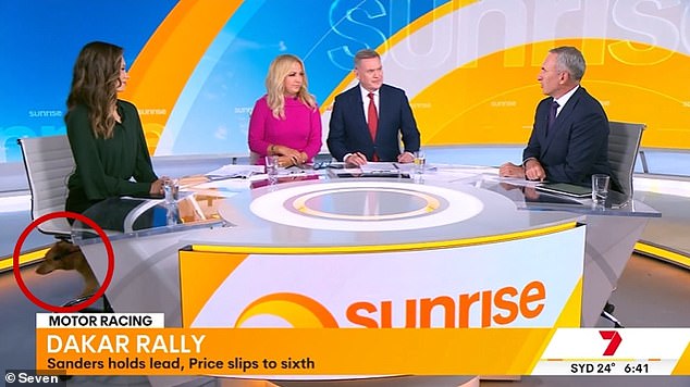 Channel Seven's breakfast TV show appeared to be having a 'bring your pet to work' day backstage when a pet got loose during a live broadcast