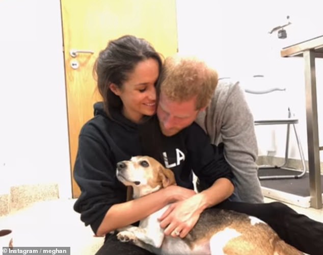 The montage provided a lovely insight into the Sussexes' family life with the sweet Beagle over the years