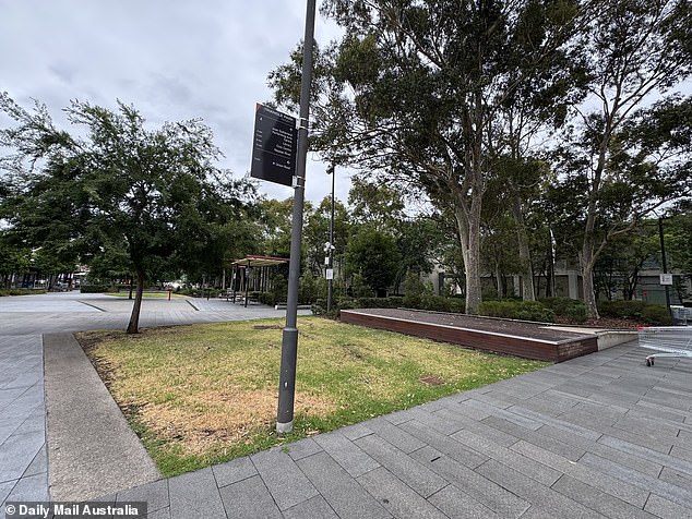 Pictured: Triangle Park, across the street from Penrith Plaza, where Gardner lived in a tent