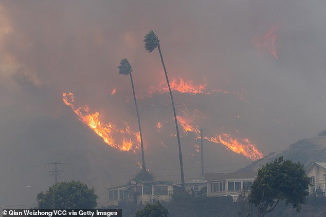 The City of Angels has been hit by fierce Santa Ana winds exceeding 100 mph in some areas, resulting in a raging wildfire that has forced 30,000 residents to evacuate