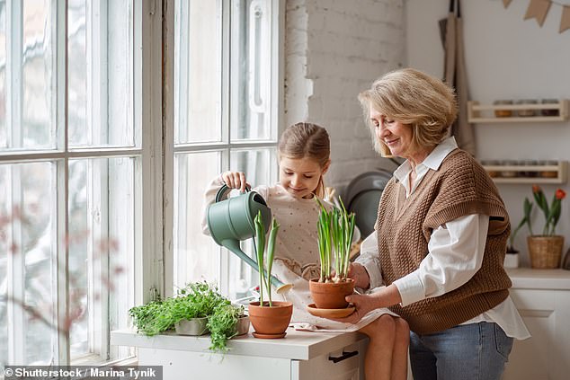 As many as one in seven people have a 'strongly connected' relationship with their potted plants, a study shows (stock image)