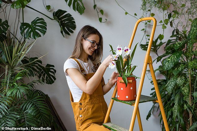 It means they have a 'deep love' for the plants that share their home, or even see them as part of the family (stock image)