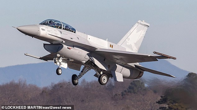 The unnamed pilot was assigned to shoot down the cruise missiles and flew with an F-16 fighter pilot