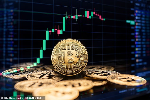 Crypto scams offering investment opportunities before they skyrocket target Australians (stock image)