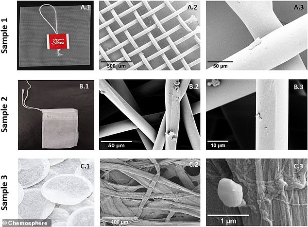 Scientists from the Universitat Autònoma de Barcelona have warned that one tea bag could release billions of dangerous microplastics into your body